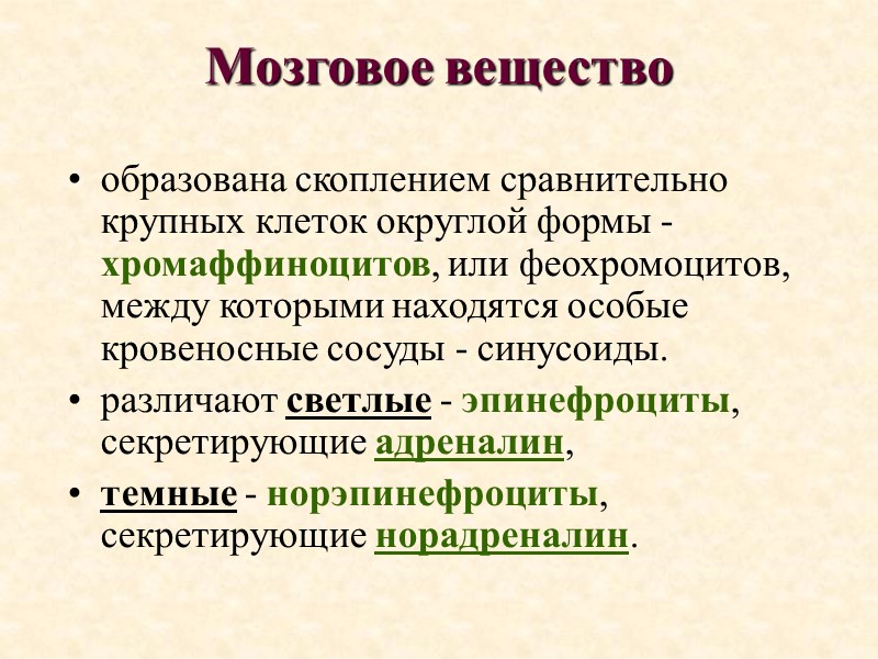 Мозговое вещество образована скоплением сравнительно крупных клеток округлой формы - хромаффиноцитов, или феохромоцитов, между
